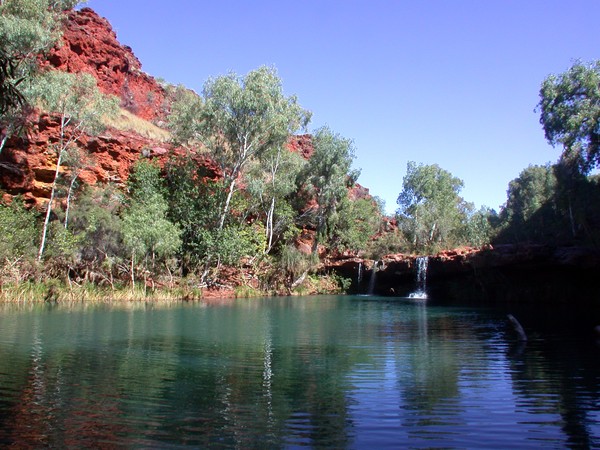 Fern Pool
